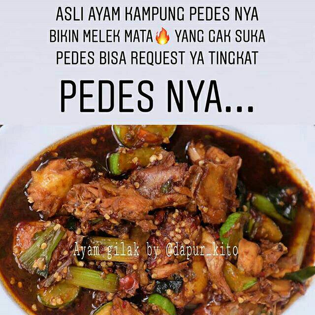 

Ayam gilak