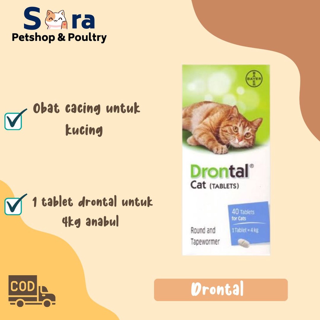 Jual DRONTAL CAT / OBAT CACING KUCING TABLET ORIGINAL / OBAT CACING ...