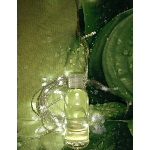 Minyak KAYU PUTIH ASLI AMBON Namlea Pulau Buru 60ml