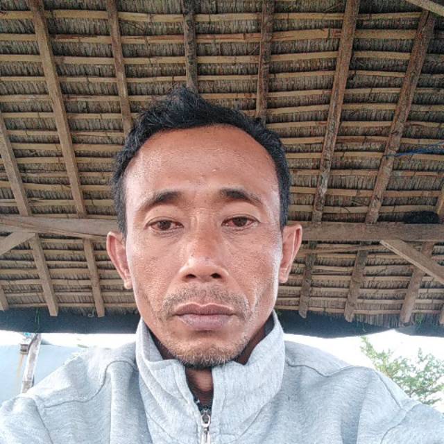 edysutono