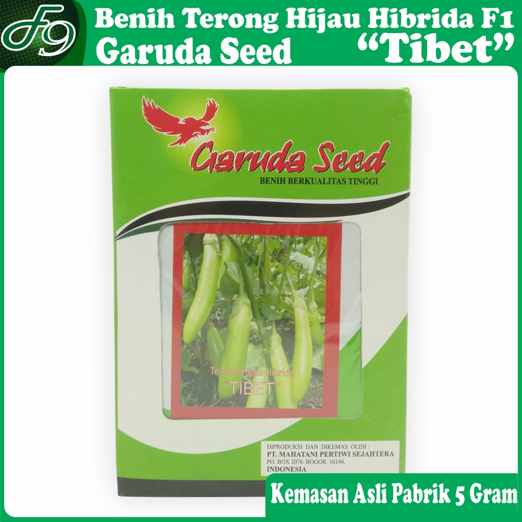 Benih Bibit Terong Hijau Hibrida F1 Tibet Garuda Seed Kemasan Pabrik 5 Gram