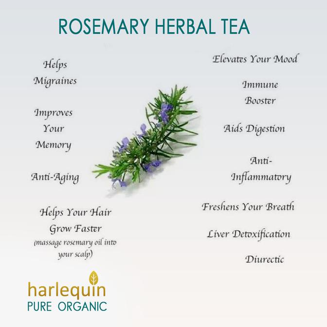 

[[BISA COD]] Rosemary Tea Harlequin Teh Celup Rosemary isi 12 PROMO Kode 676