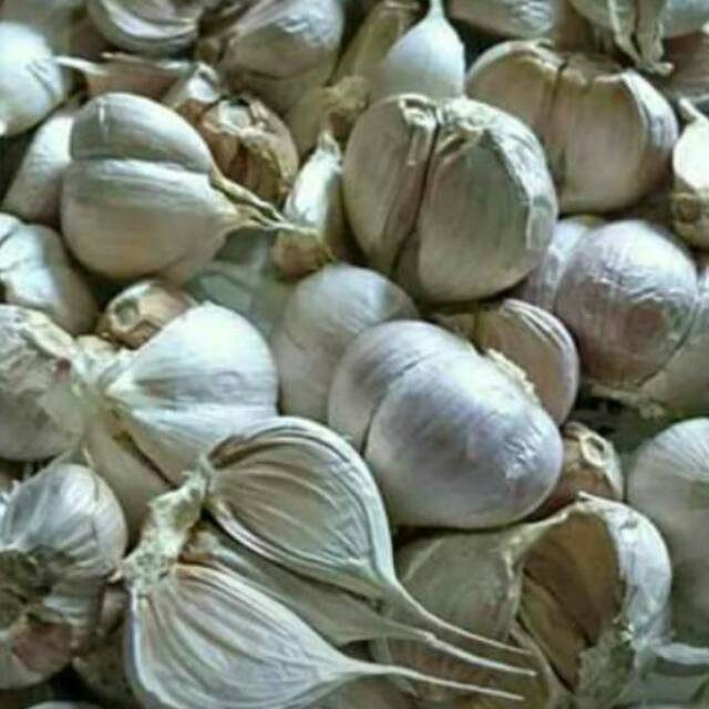 

Bawang marah, bawang putih, bawang bombai, opak koin