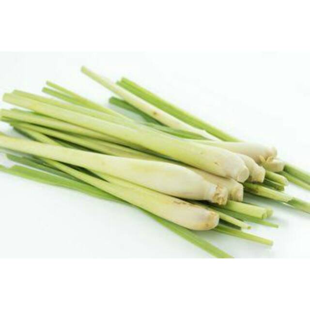 

Sereh/Serai Asli Dipetik Langsung Dari Kebun Sendiri