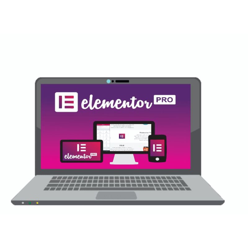 Elementor Pro Wordpress Fullpacked