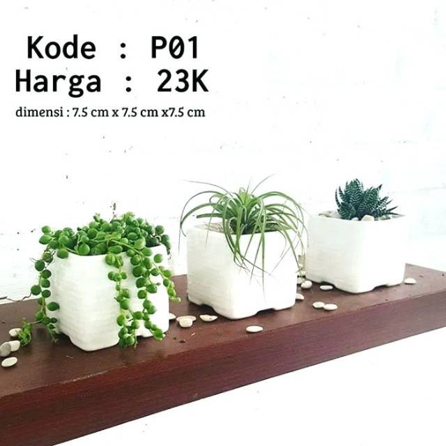  Pot keramik kotak  pot  kaktus pot  succulent pot  