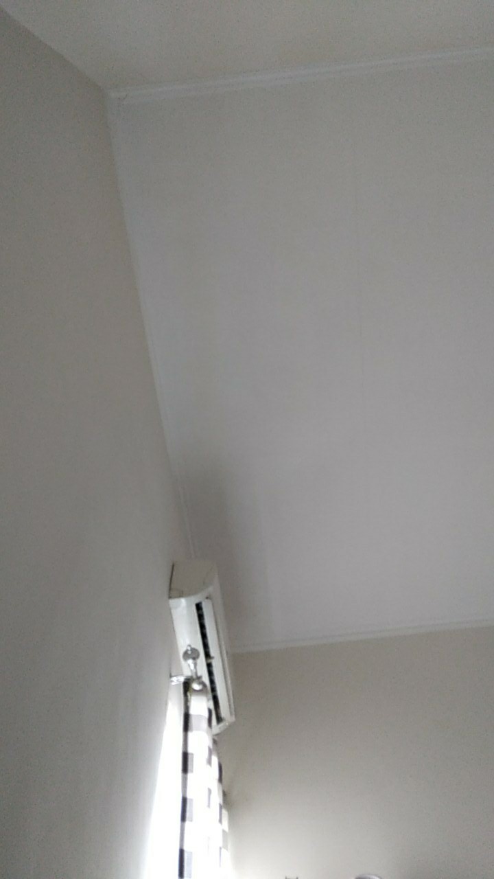 Egg Container Box Wadah Kotak Tempat Penyimpanan Telur Isi 15 Lubang Sekat