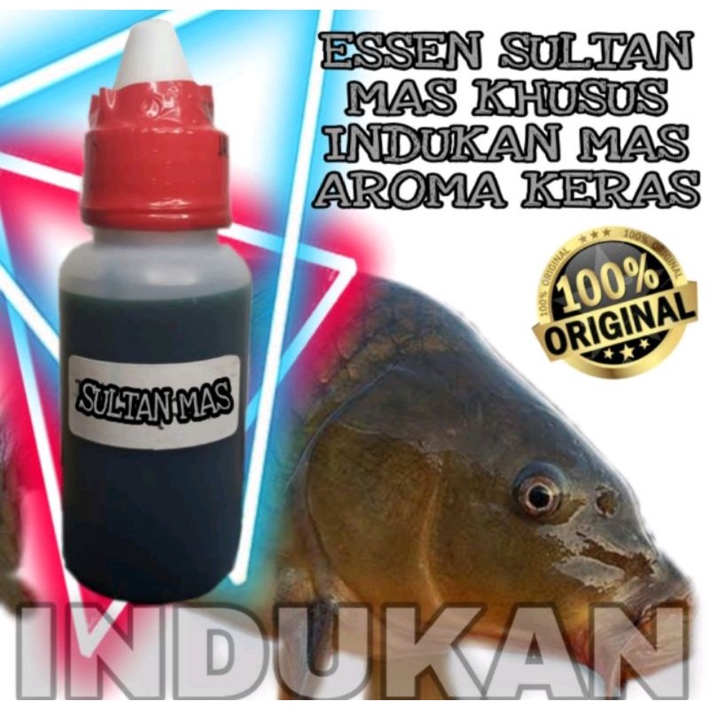 ESSEN SULTAN ESSEN OPLOSAN USAR PANDAN BOLU/Essen ikan mas indukan