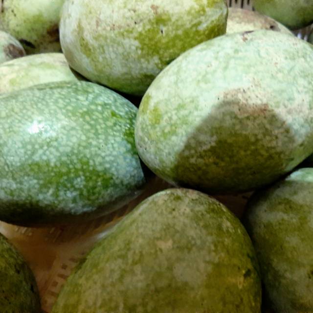 

Mangga Madu/kg