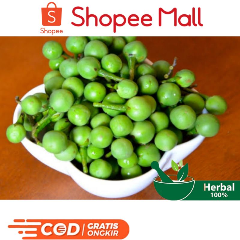 

Buah Takokak Atau Cepokak/Untuk Lalapan Dan Herbal 250Grm