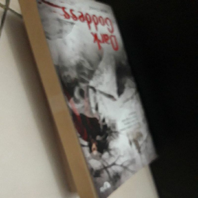 Novel Dark Goddes By Sarwat Chadda-2