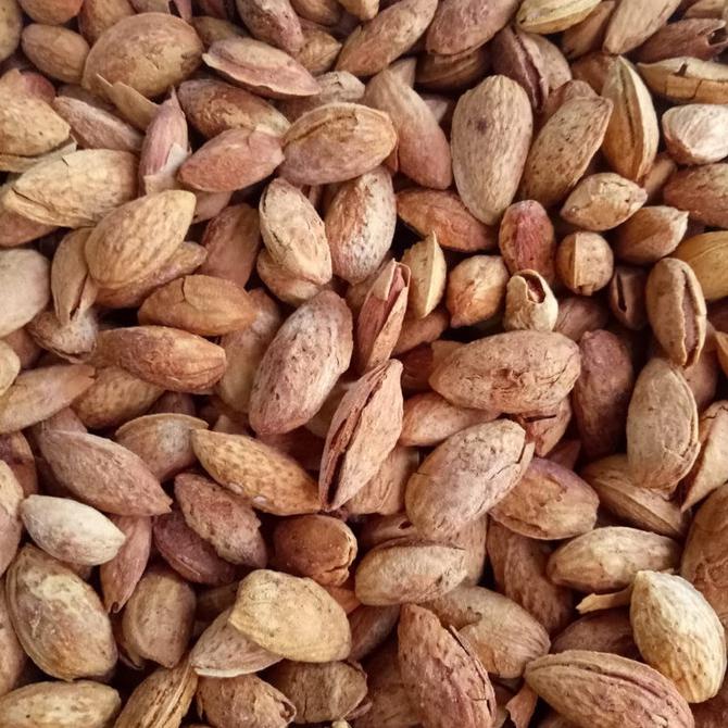 

Almond Panggang Roasted Butter Milk USA California in Shell 350gr