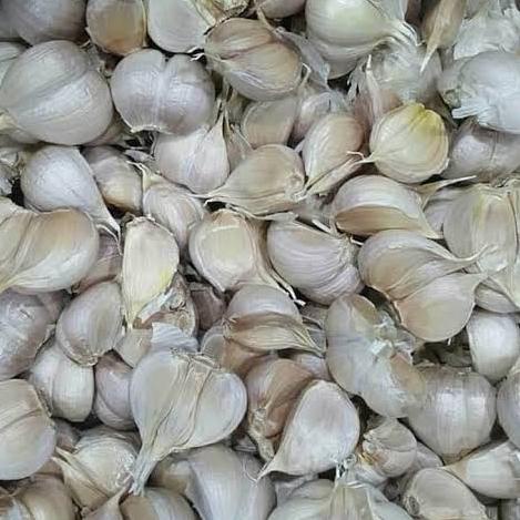 

2.2 SALE Bawang putih kating 1 kg/bawang murah/ bawang putih | Termurah | Terbaik | Original