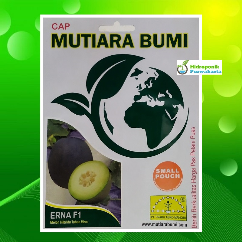 Benih Melon ERNA F1 Tahan Gemini Virus Semi Oval Mutiara Bumi 40 Butir