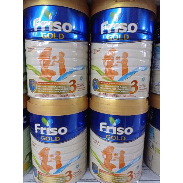 friso gold tahap 3