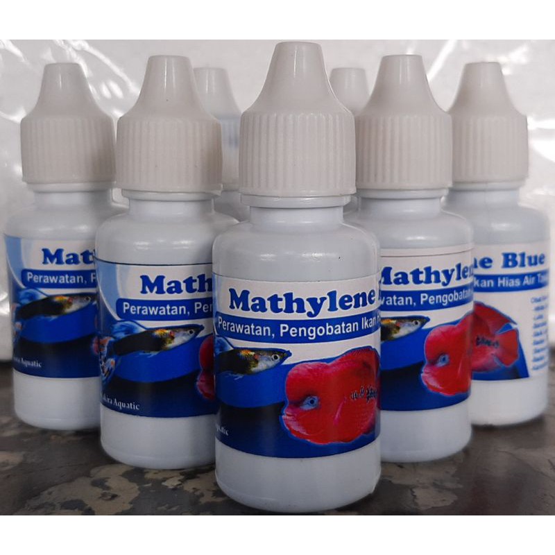 METHYLENE BLUE (OBAT BIRU)
