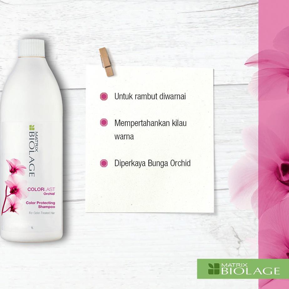 MATRIX BIOLAGE COLOR PROTECTING SHAMPOO 1LTR