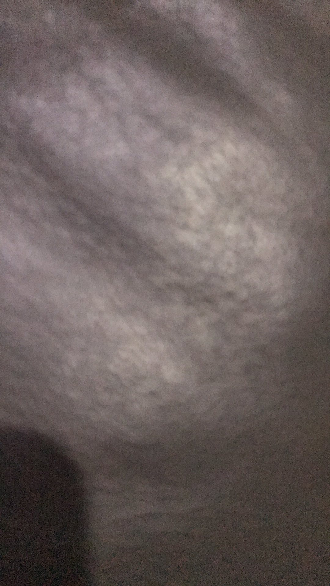 Sikat Kayu Warna Besar 818 Jumbo 14cm - Serbaguna Cuci Baju Karpet Lantai Motor Mobil Dll