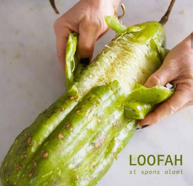 Loofah Spons Mandi Cuci Piring Serat Oyong Gambas Utuh Herbal Natural