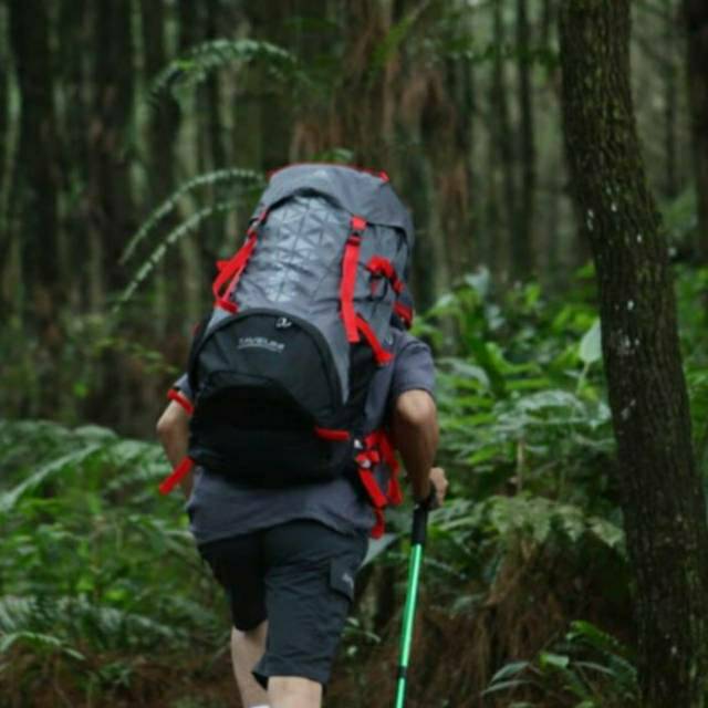 Tas Keril Avtech Taveuni 60L tas gunung tas punggung pria wanita