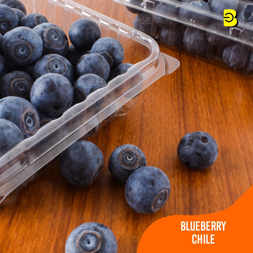 

BUAH BLUEBERRY CHILE IMPORT BELIDIKITA BANDUNG | BUAH BLUEBERRY IMPORT MURAH BANDUNG | BLUEBERRY