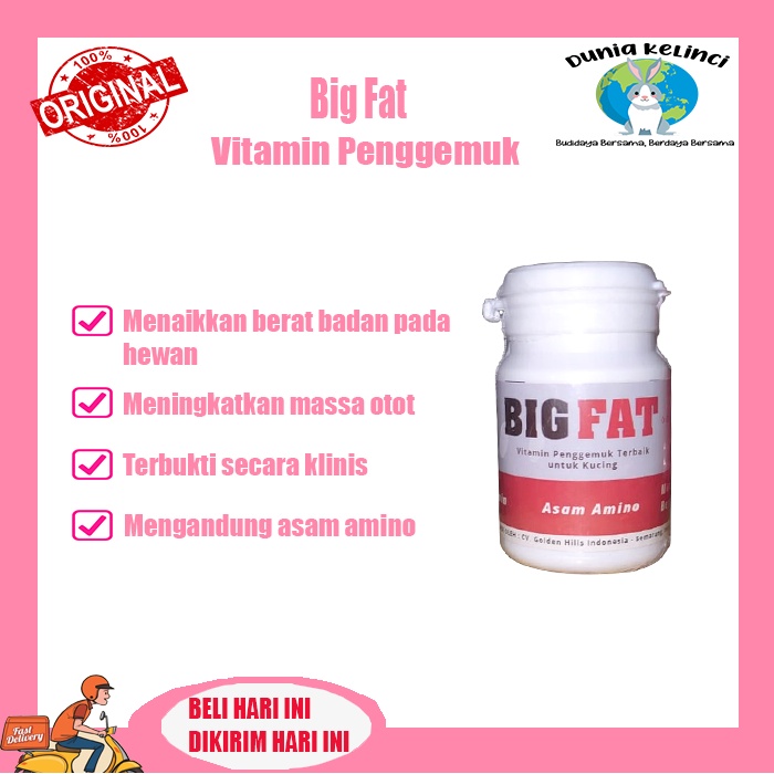 Vitamin Kapsul Penggemuk Kucing BIG FAT