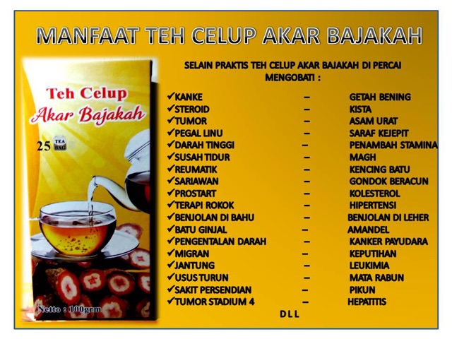 TEH CELUP AKAR BAJAKAH TAMPALA 25PCS herbal obat kanker dan tumor teh bajakah siap seduh nablfashion