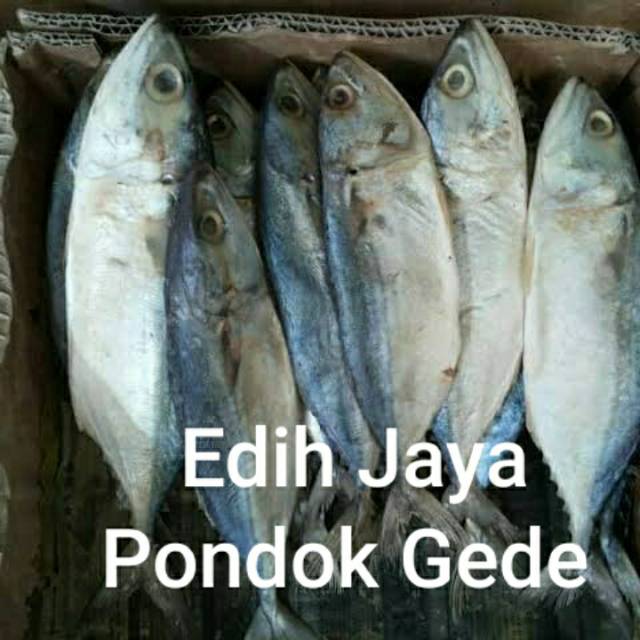 

Ikan Asin Peda Putih, Peda Asin Putih Netto 250 Gram