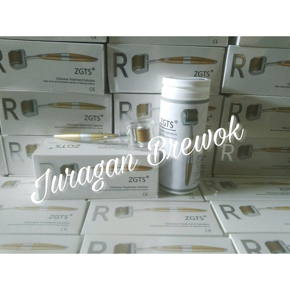 Promo Dermaroller ZGTS Diskon