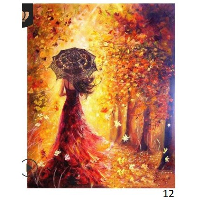 

Diy Painting by Number Canvas 50x40cm With Frame