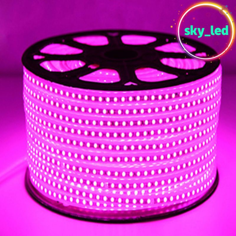 LAMPU  STRIP LED SELANG SMD 5050 100M 100 METER / LAMPU PLAFON CEILING DRIP CEILING PLAFON LED