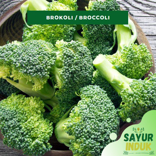 

Sayur Induk - Brokoli 250 Gram Fresh Grade A Broccoli