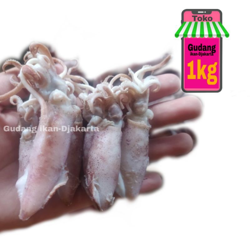 

Ikan asin cumi-1kg