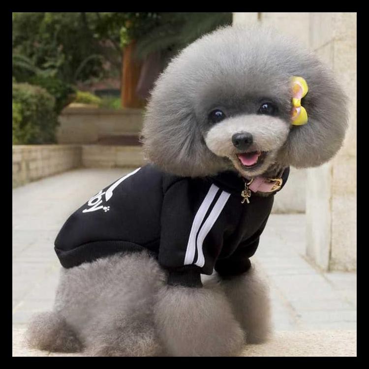 Sale Adidog Baju Jaket Hoodie Anjing Hitam S Promo Shopee Indonesia