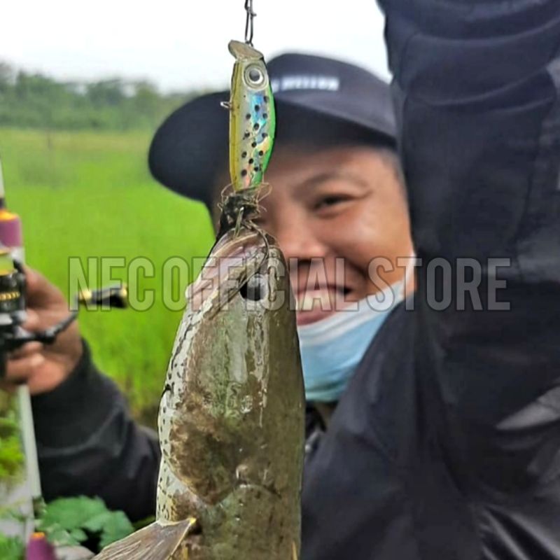 Mini floating minnow 3,5cm / 3gr Umpan tiruan bentuk ikan, Target hampala laosan payus barramundi