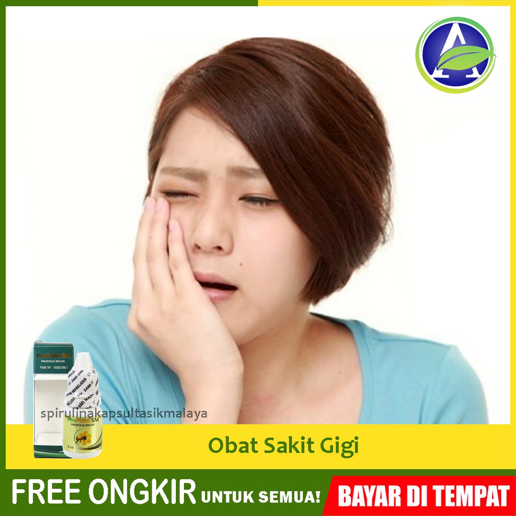 Obat Sakit Gigi - Obat Sakit Gigi Berlubang - Obat Sakit Gigi Keropos Herbal Propolis SM ASLI HALAL