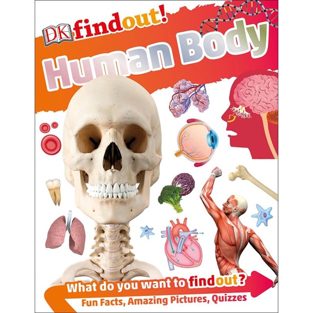 DK Findout Human Body