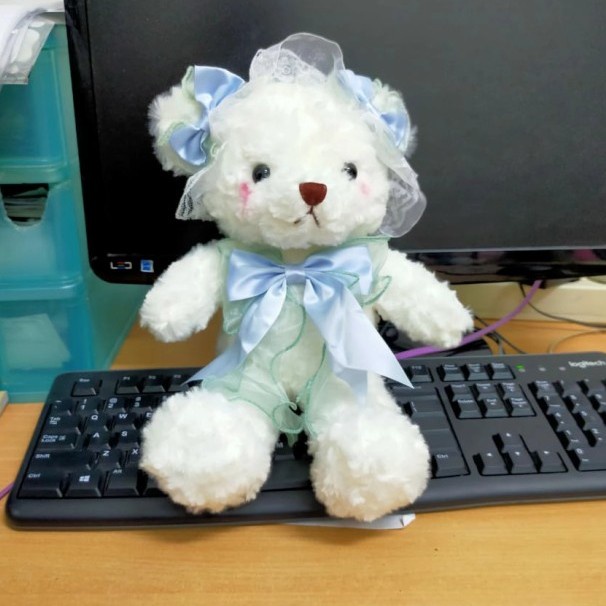 Boneka teddy bear import lembut 32cm beruang house kado hadiah ultah souvenir hampers