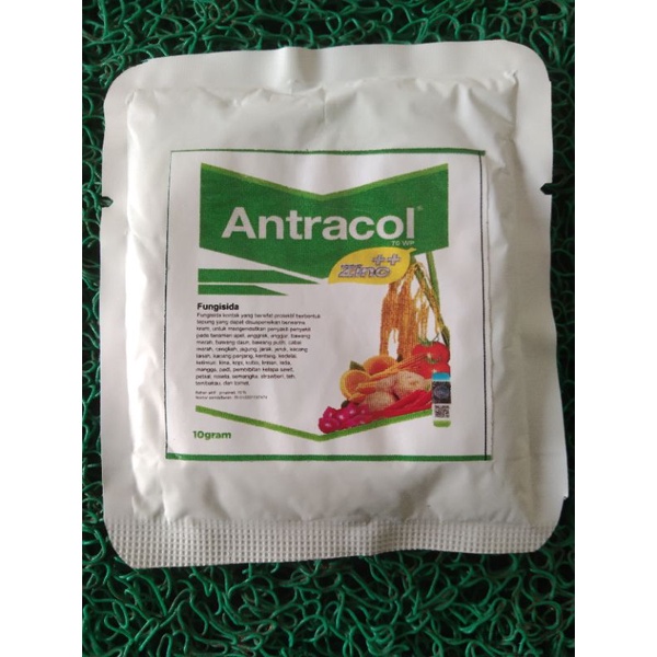 Fungisida Antracol 70 WP Kemasan Ekonomis 10g Untuk tanaman Aglaonema
