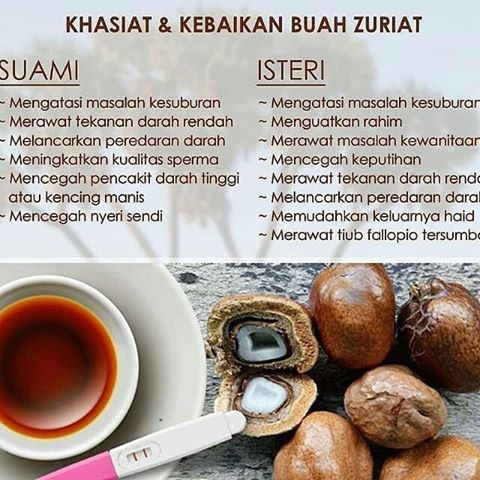 Buah Zuriat Sudah Di Potong - Potong / Zuriyat / Doum Satuan 100% Original Garansi Uang Kembali