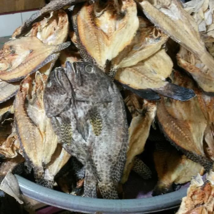 

Ikan Kerapu asin