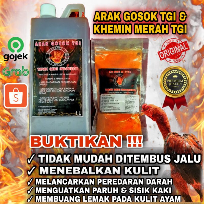 

Perawatan Ayam Adu Paket Terbaik Arak Gosok & Khemin TGI