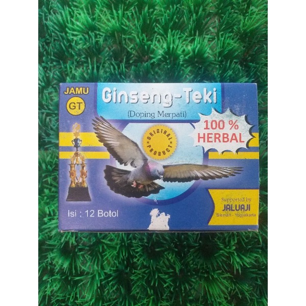 GINGSENG TEKI JAMU MERPATI