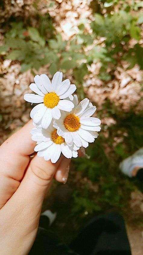 Blus Batik Anak Pink Soft Kemeja Batik Anak Perempuan Berkerah Kancing Depan Model Lengan Bop Cantik