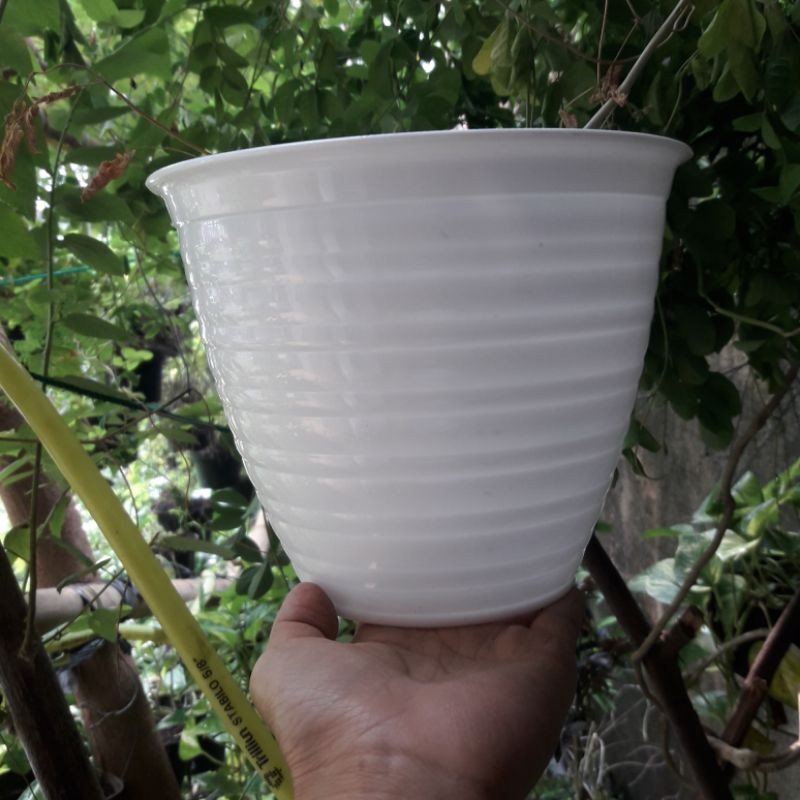 Pot tawon 20cm putih pot tanaman