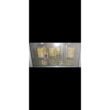 

jamu bubuk REMPAH RIMPANG paling MURAH tanpa pengawet 250gr