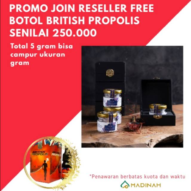 Britishpropolis Www Grosir168 Com