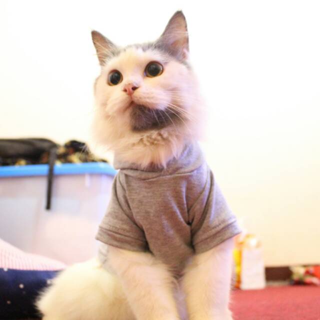 Kaos hoodie saku belakang untuk kucing &amp; anjing /Jual Baju Kucing Terlengkap &amp; Berkualitas size S-XL