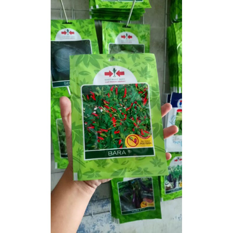 Benih Cabe Rawit Hijau BARA (500BJ)