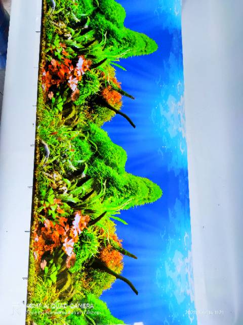 Gambar background hiasan dinding Aquarium tinggi 40cm panjang 1 meter